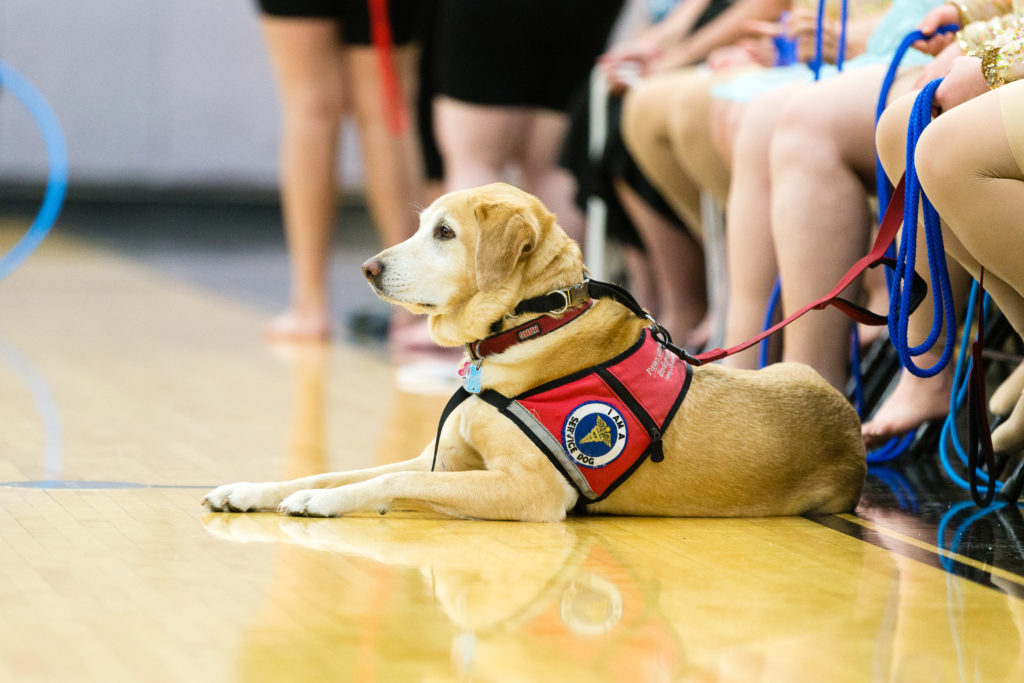 Paws Giving Independence - Illinois Service Dog Program - Paws Giving ...