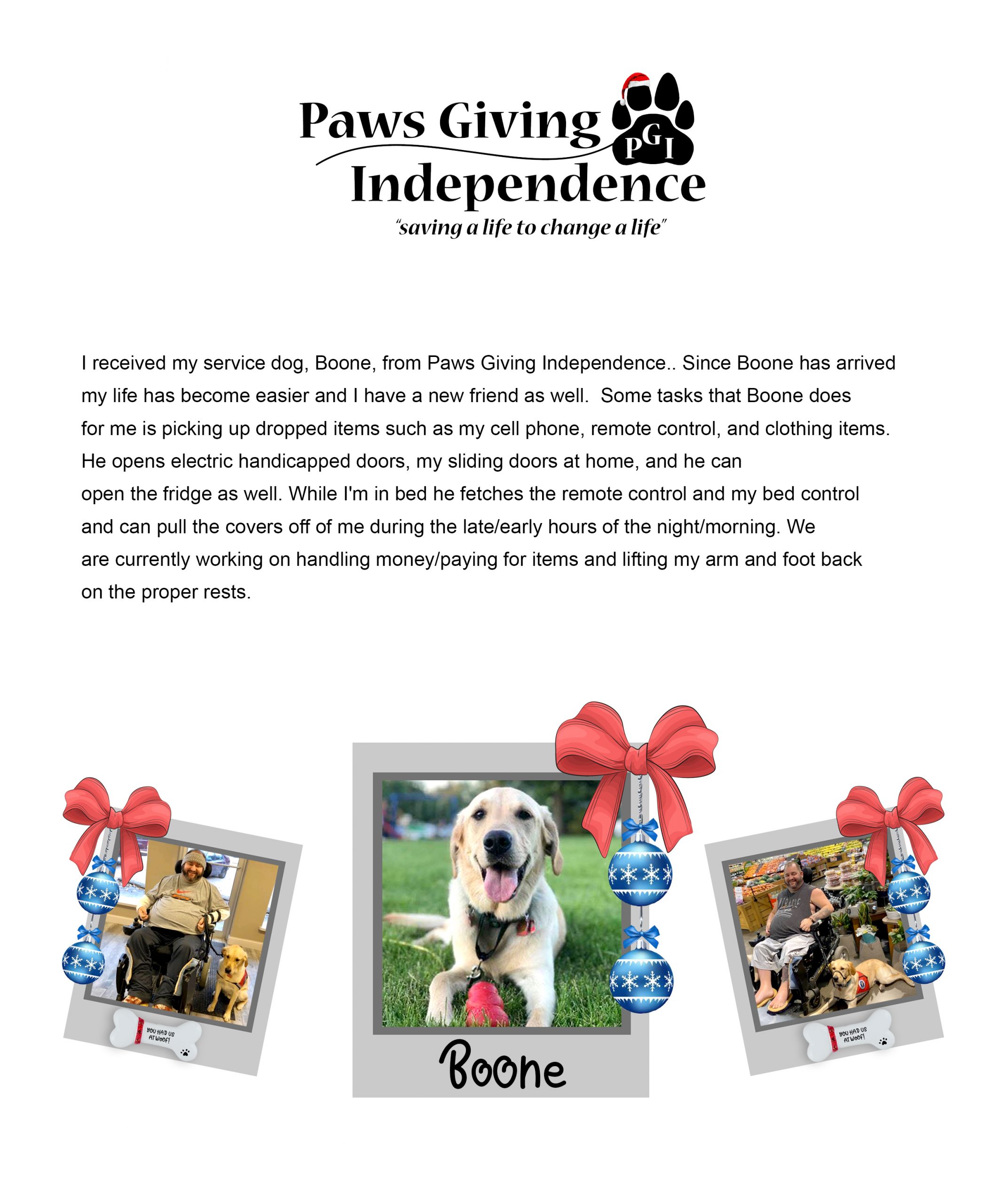 Meet Boone - Paws Giving Independence - Paws Giving Independence