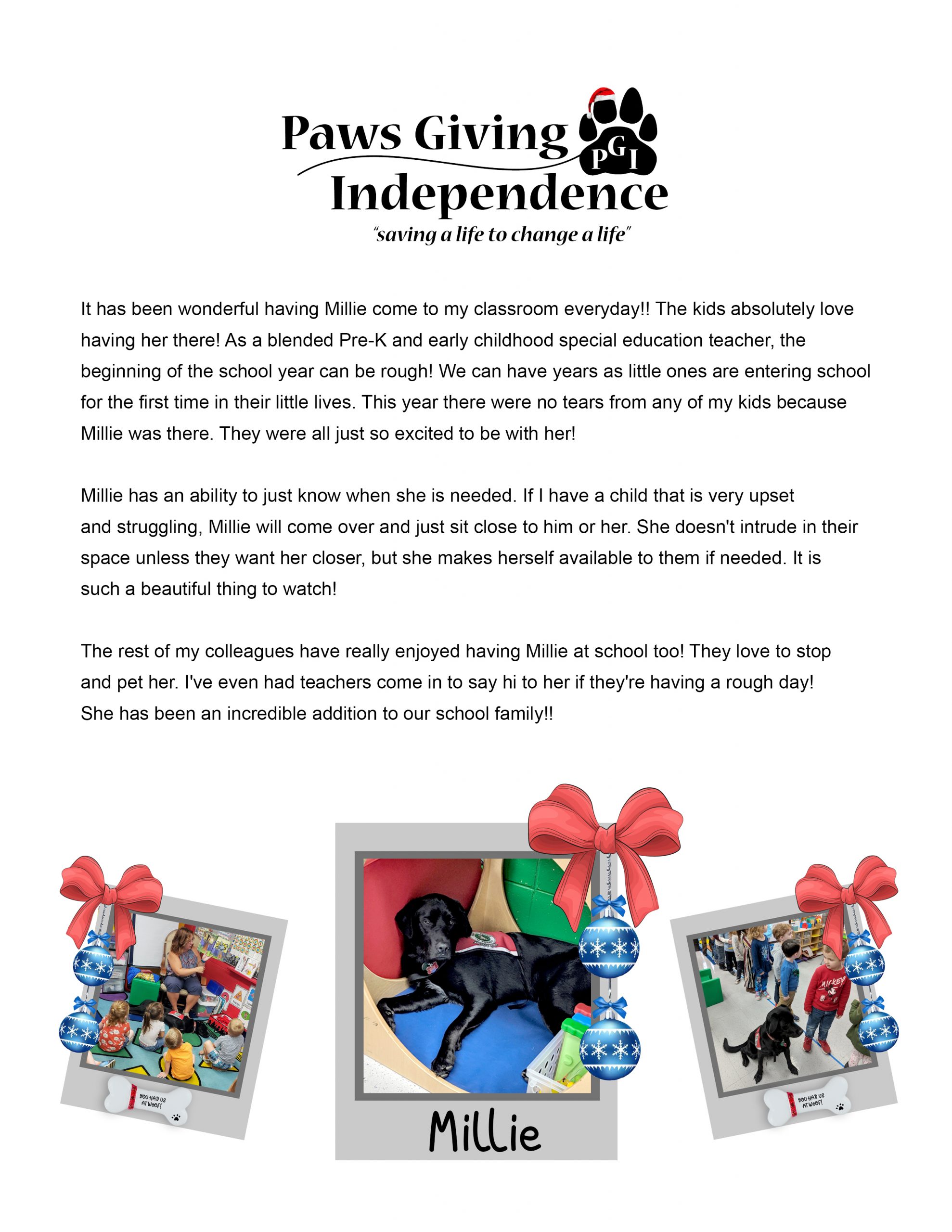 Millie-spotlight - Paws Giving Independence - Paws Giving Independence