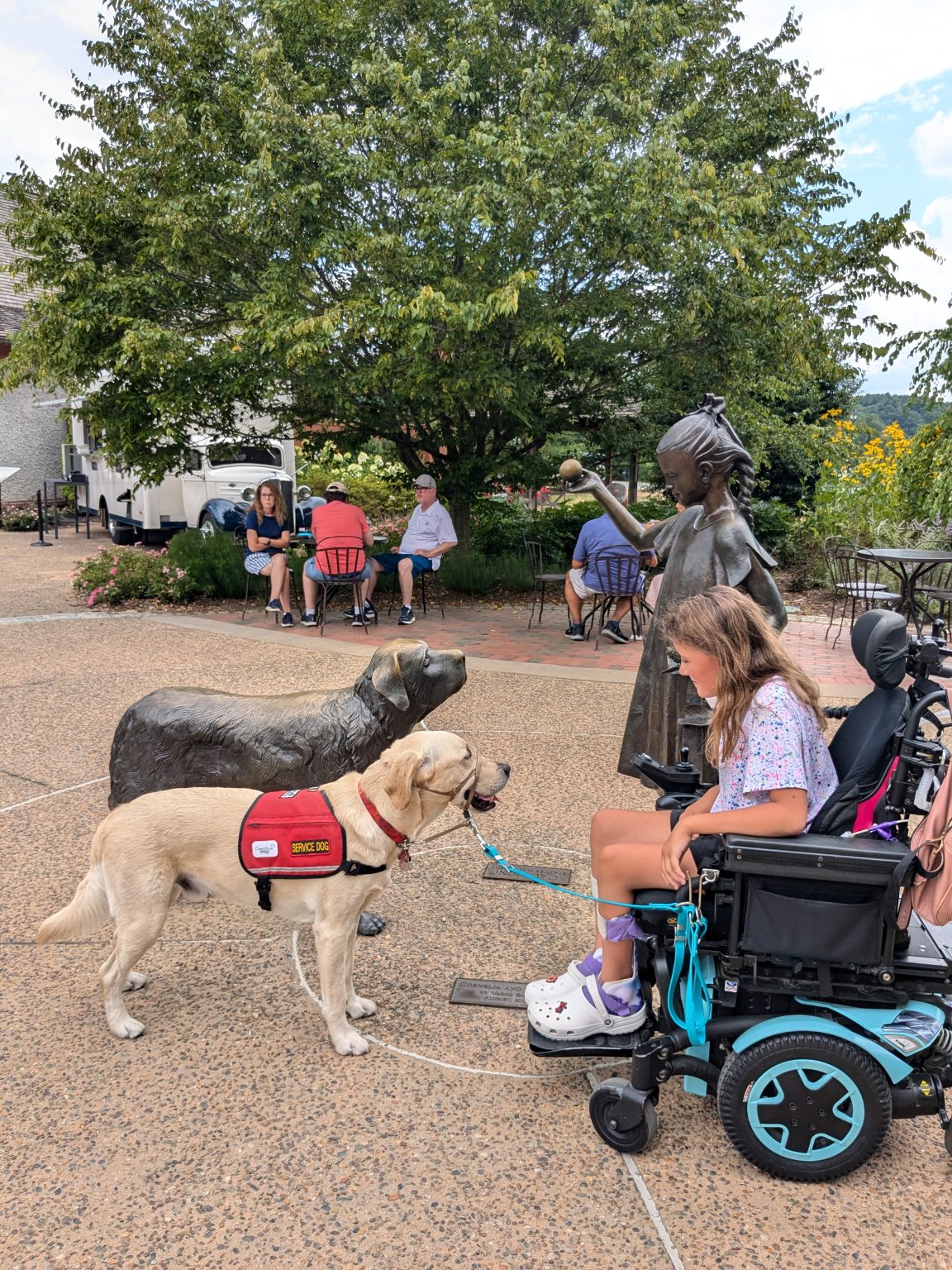 Paws Giving Independence - Illinois Service Dog Program