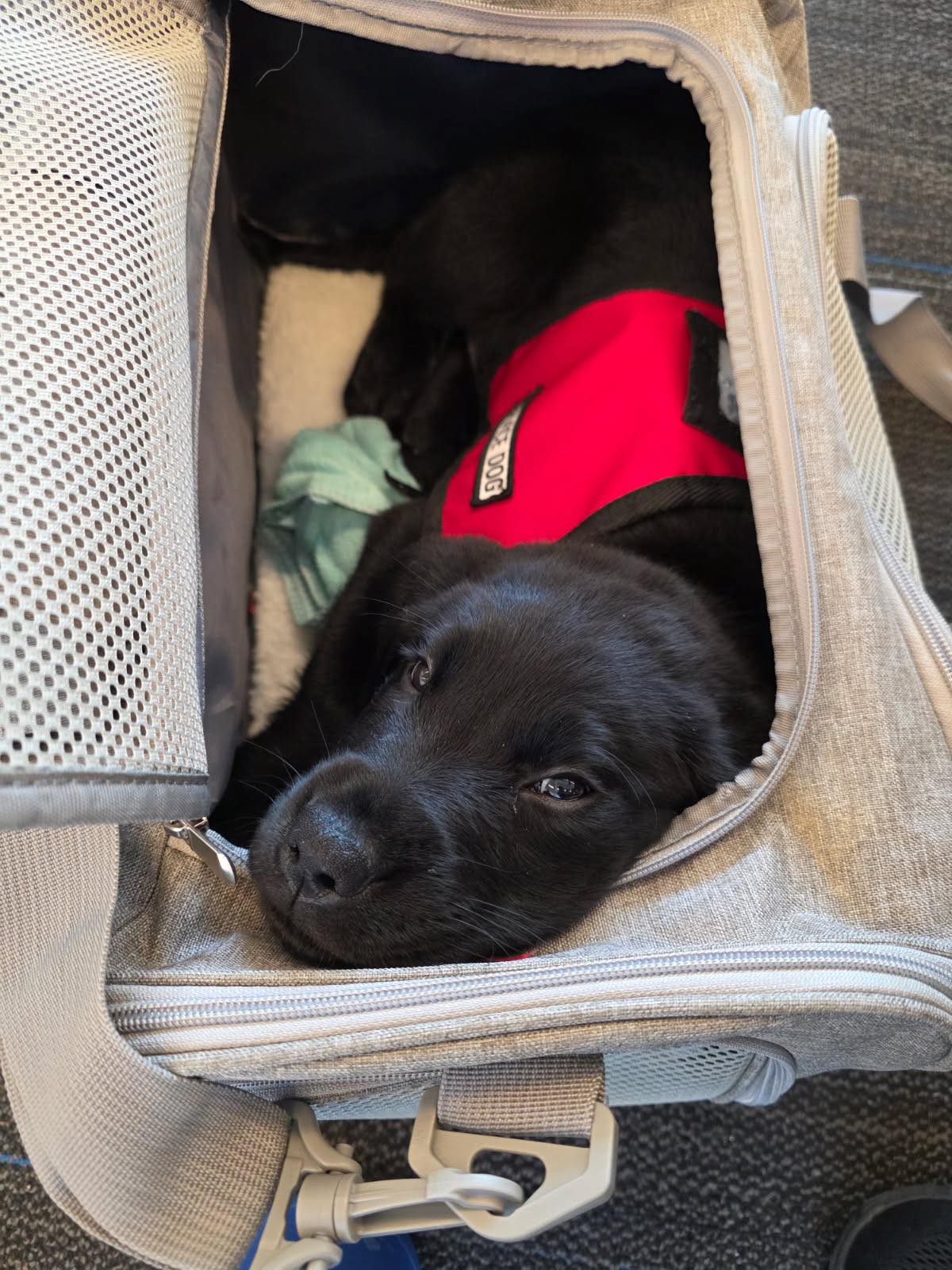 Locke- - second sponsor year still needed