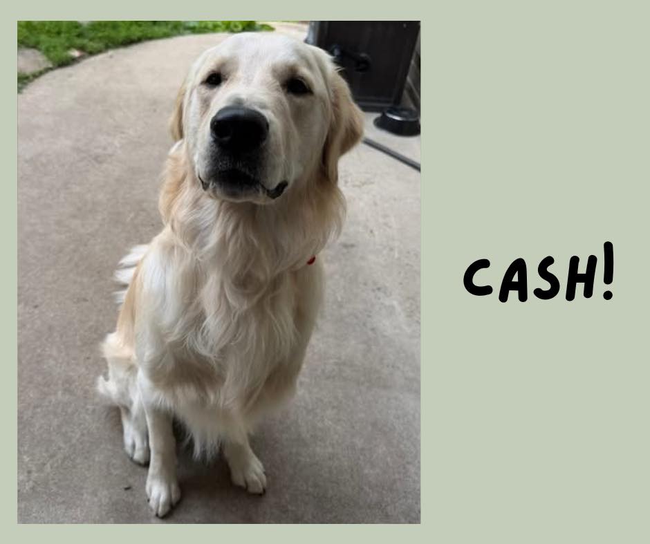 Cash- second sponsor year still needed